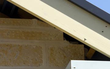 soffit repair Townlake